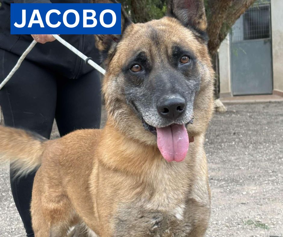 JACOBO NEW PROFILE