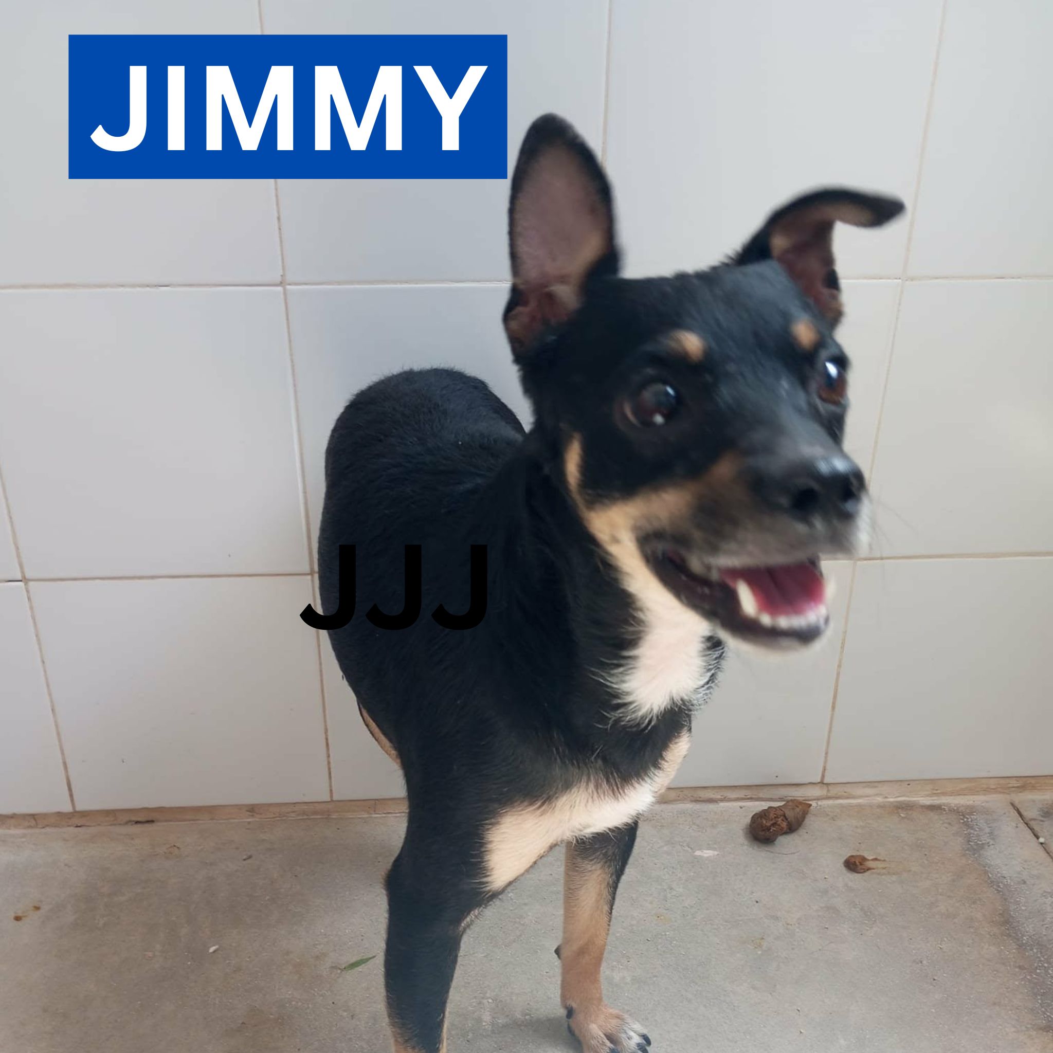JIMMY PROFILE
